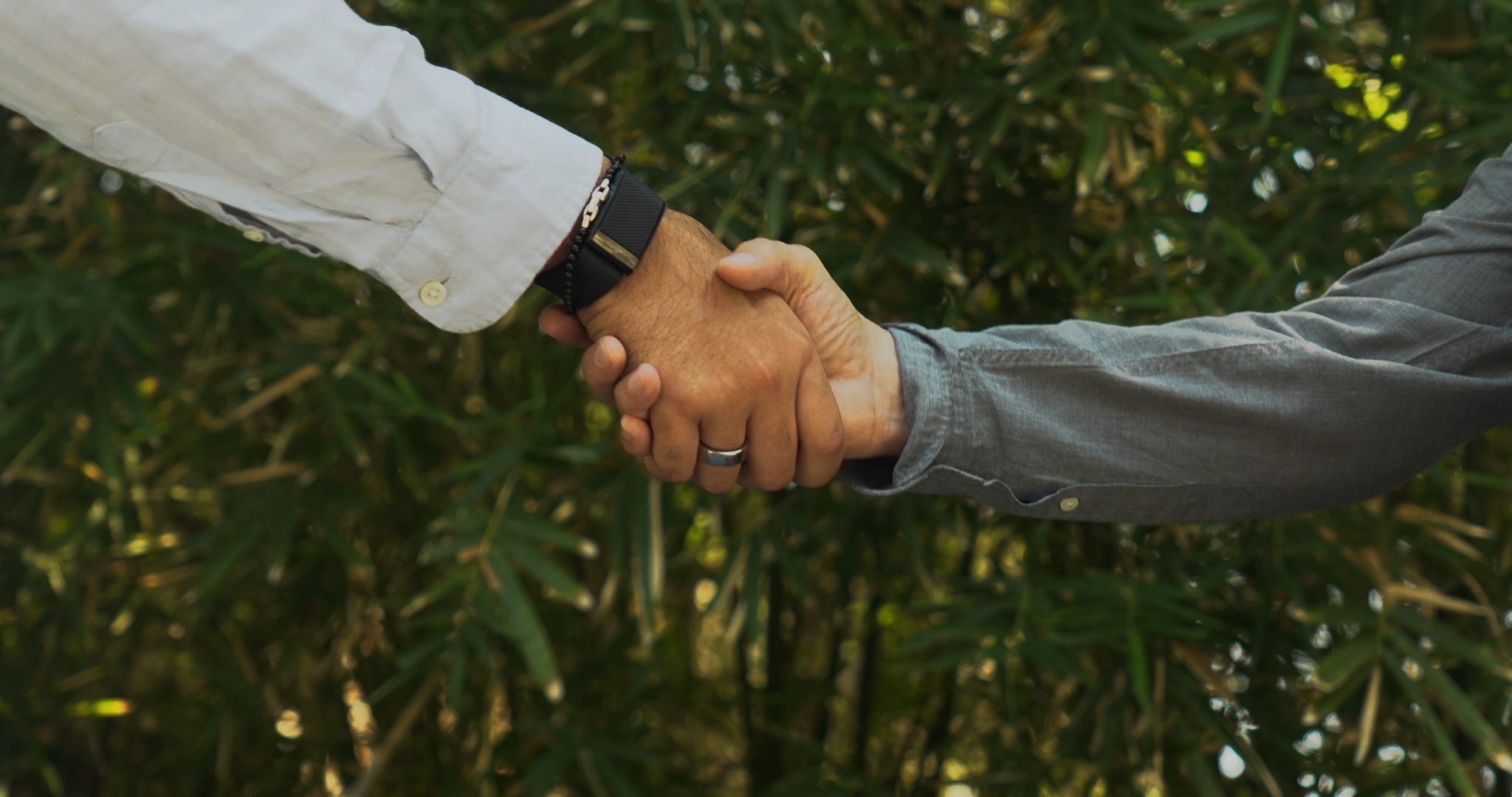 Two hands clasped against a leafy background, from The Rock Garden.